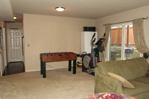 Lower level fireplace